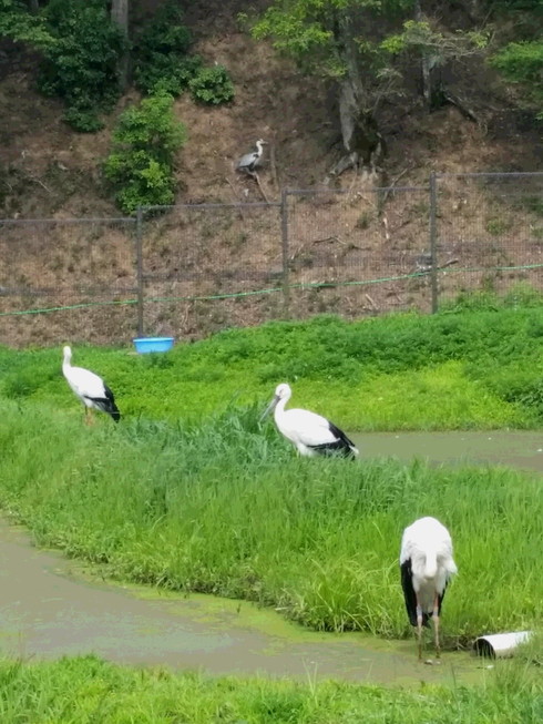 http://www.saisyou.jp/blog/20140702_145725.jpg