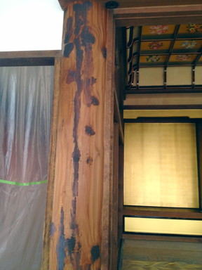 http://www.saisyou.jp/blog/8.jpg