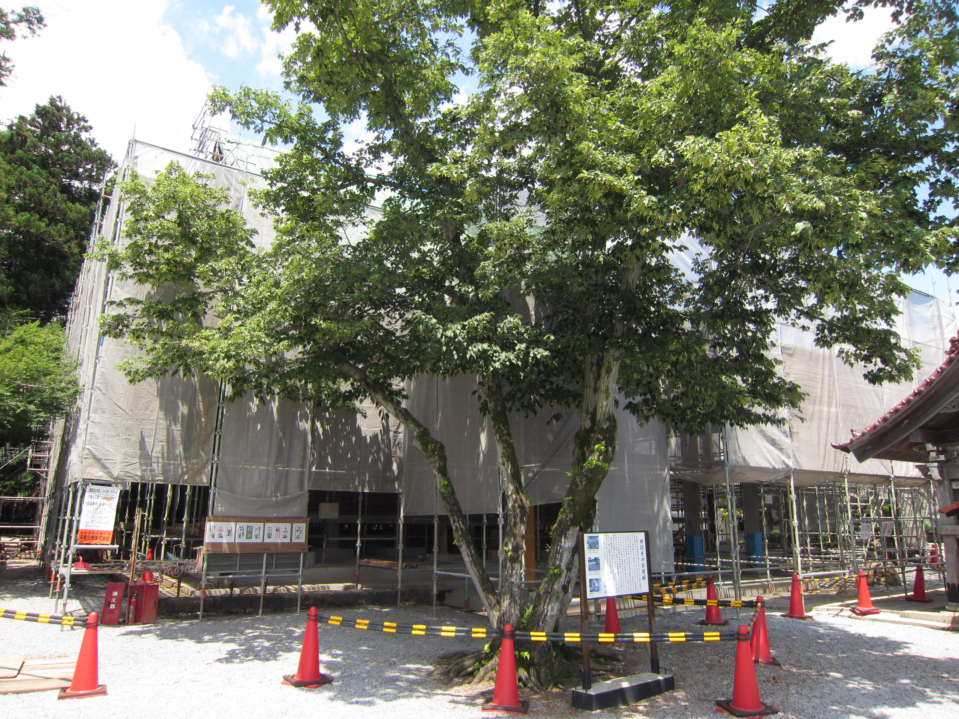 http://www.saisyou.jp/blog/IMG_0829.jpg