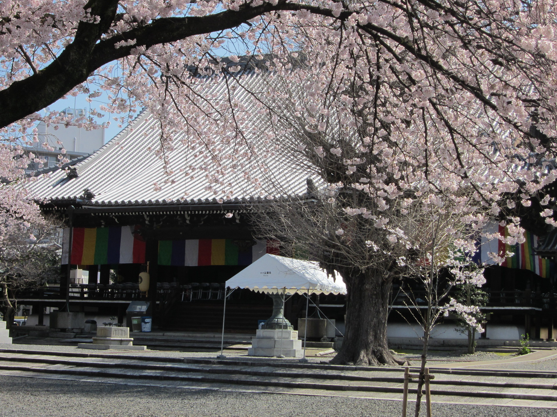 http://www.saisyou.jp/blog/IMG_2795.jpg