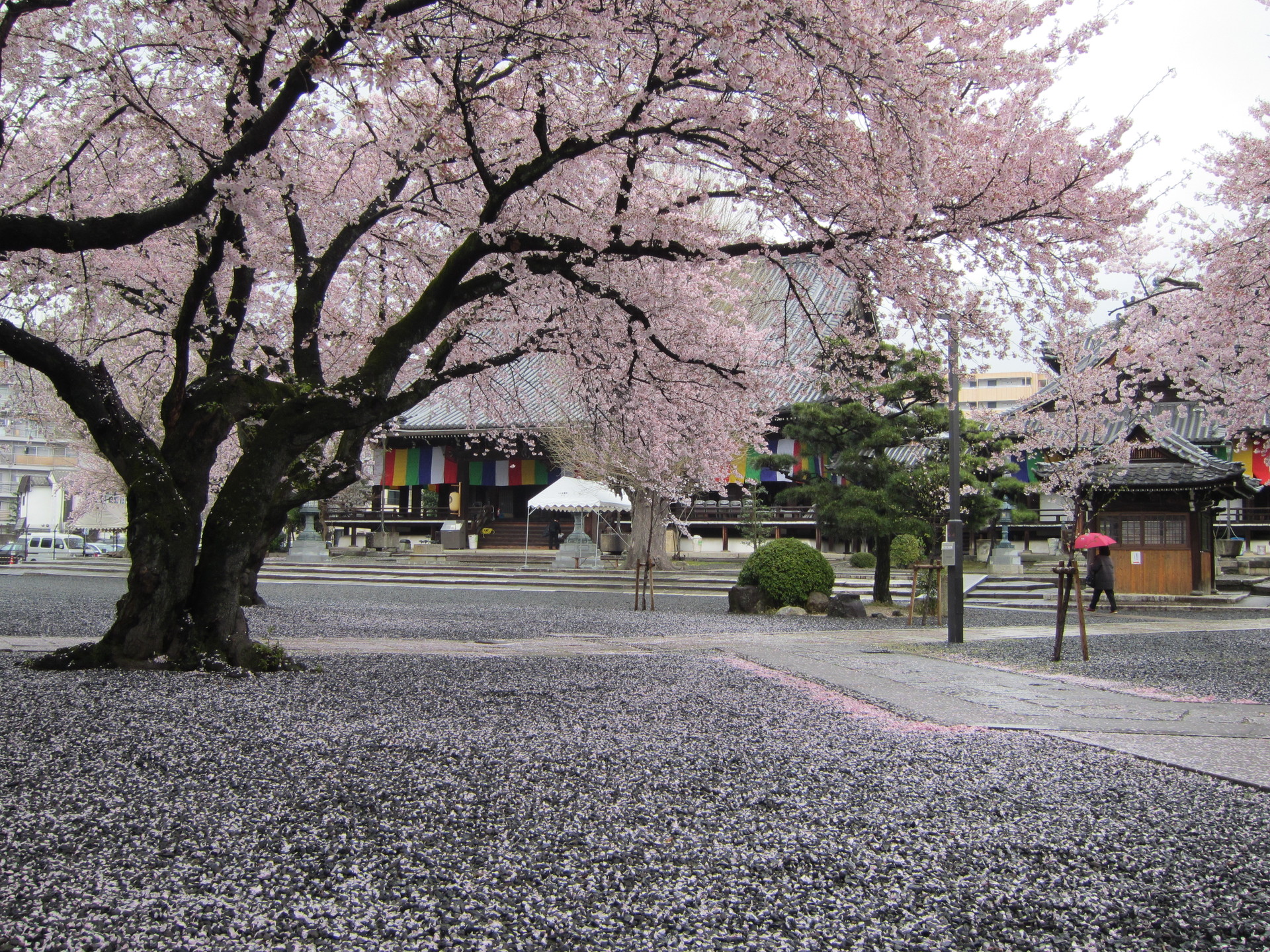 http://www.saisyou.jp/blog/IMG_2846.jpg