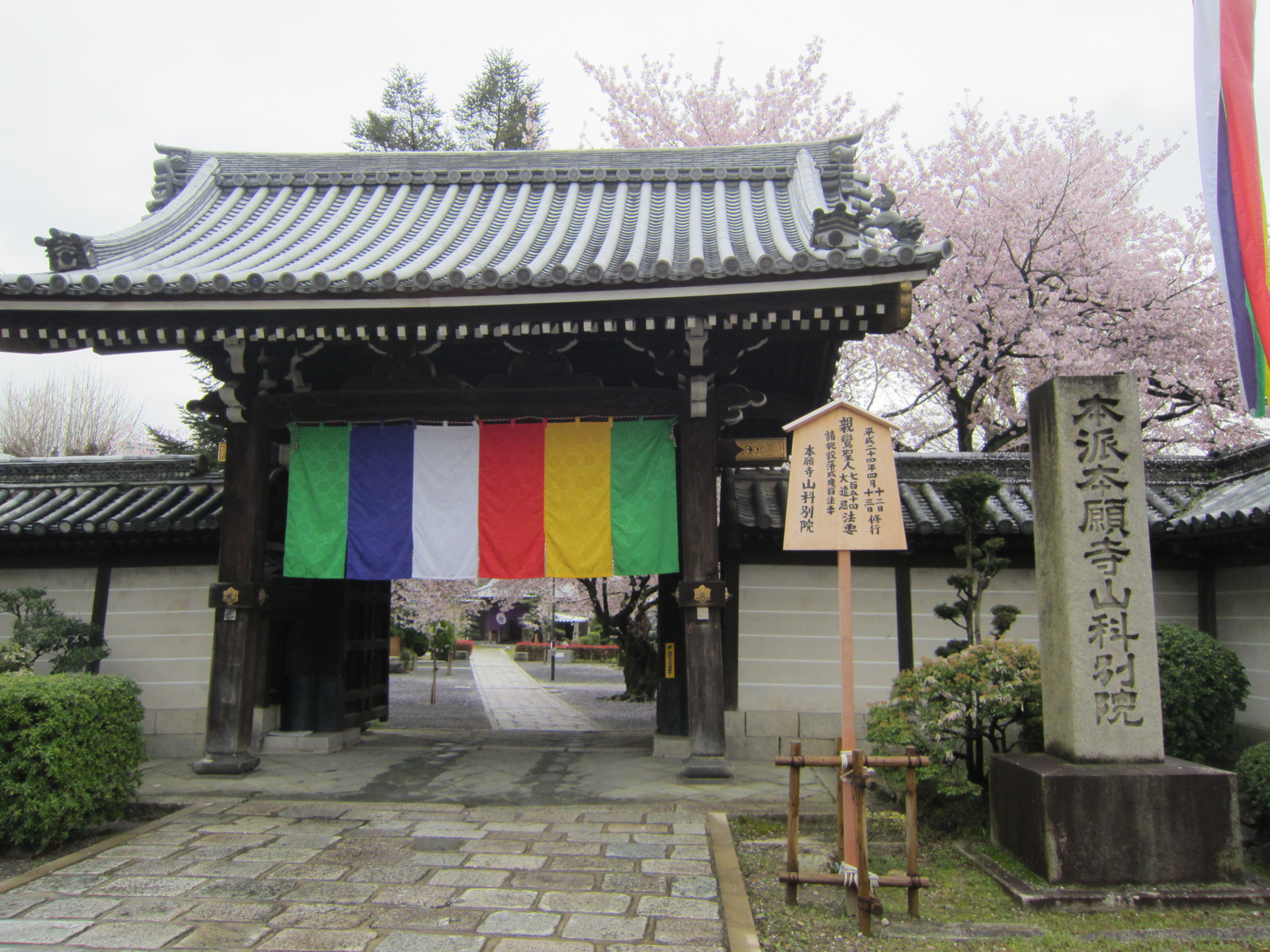 http://www.saisyou.jp/blog/IMG_2847.jpg