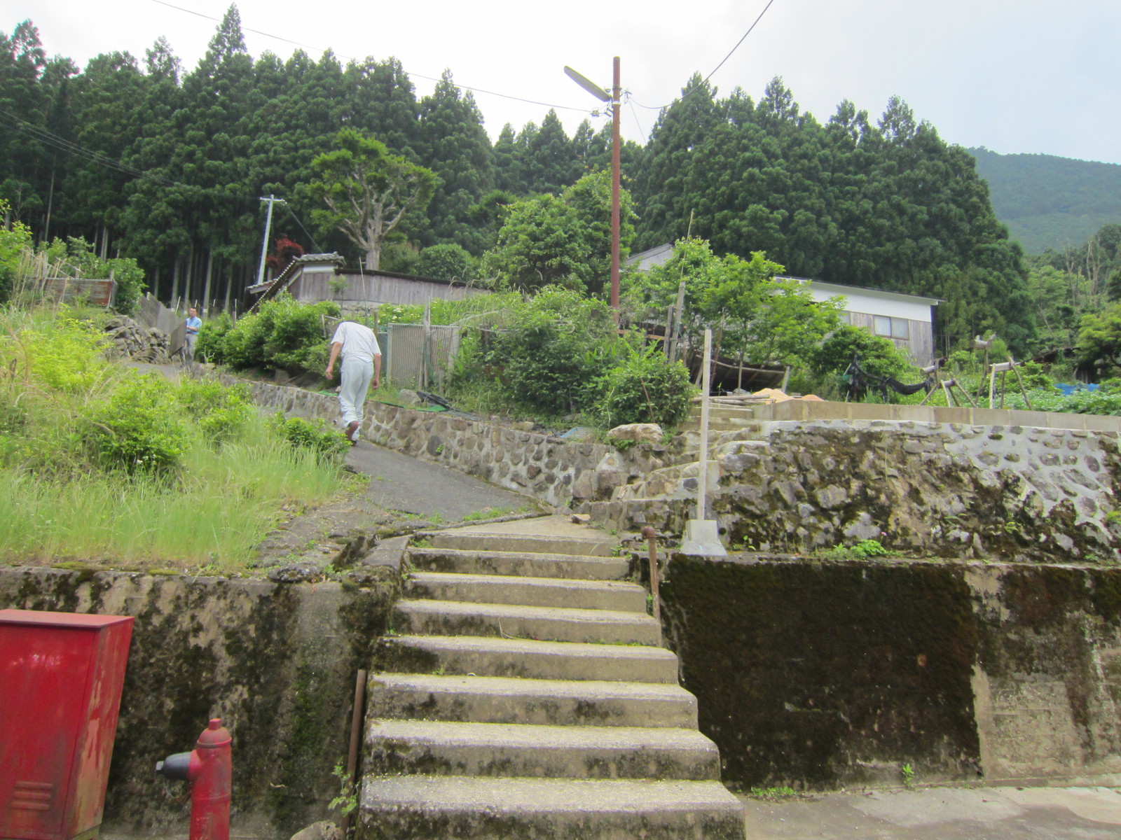 http://www.saisyou.jp/blog/IMG_6163.jpg