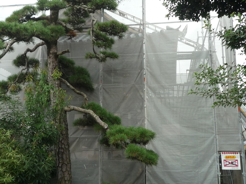 http://www.saisyou.jp/blog/P1030637.jpg