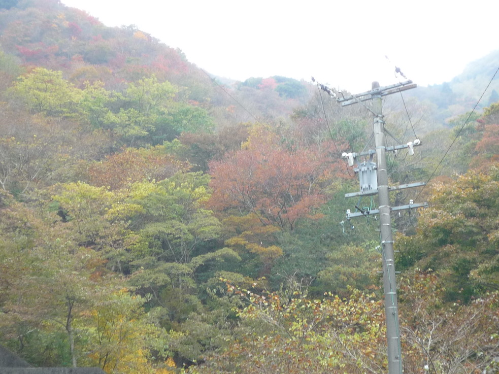 http://www.saisyou.jp/blog/P1040251.jpg