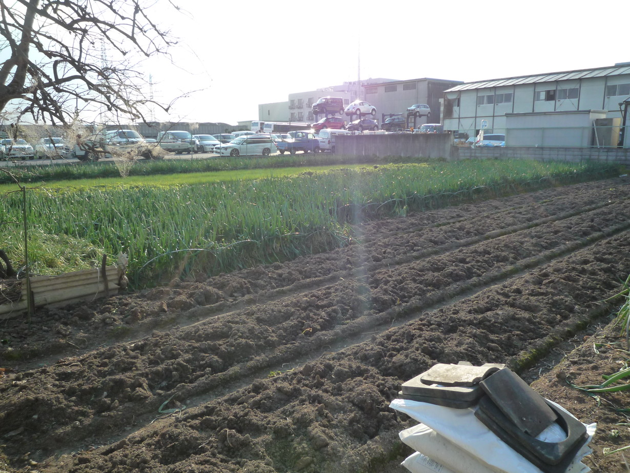 http://www.saisyou.jp/blog/P1040894.jpg