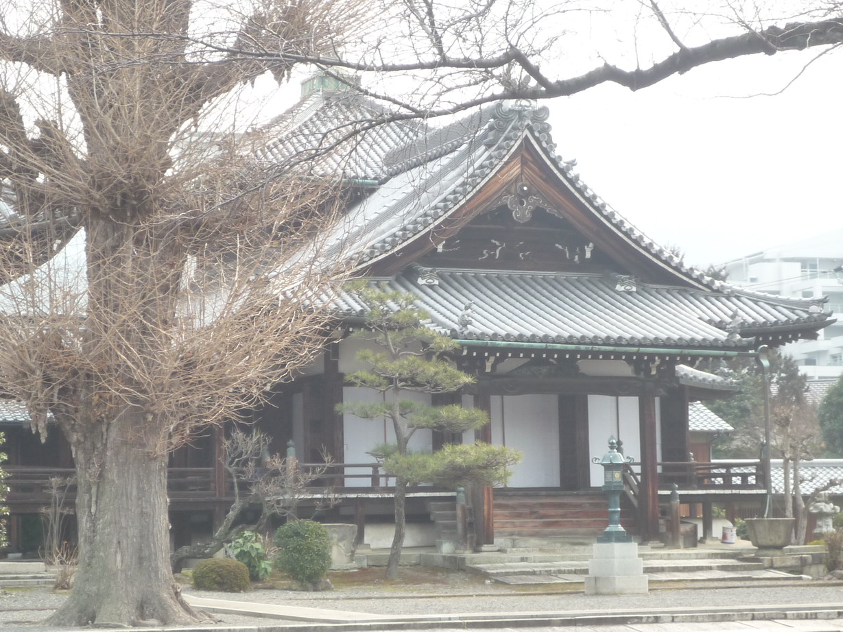 http://www.saisyou.jp/blog/P1050025.jpg