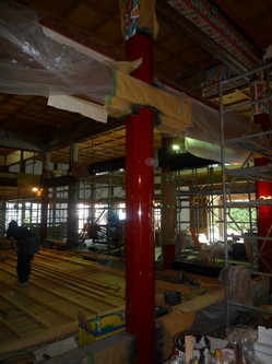 P1030433.jpg