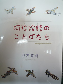 P1040881.jpg