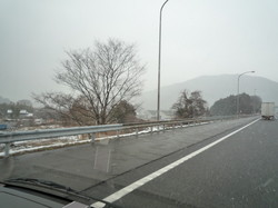 P1040910.jpg