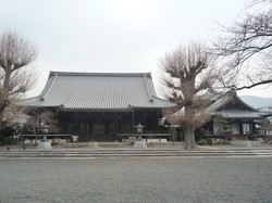 P1050024.jpg