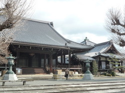 P1050146.jpg