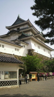 2011050408520000.jpg