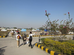 IMG_2353.jpg