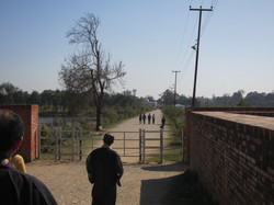 IMG_2499.jpg