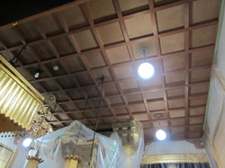 IMG_3667.jpg