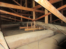 IMG_3863.jpg