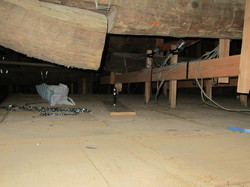 IMG_3864.jpg