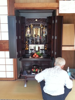 20130815_124554.jpg