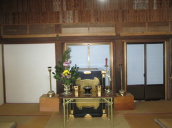IMG_5936.jpg