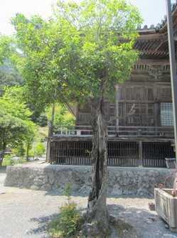 IMG_6122.jpg