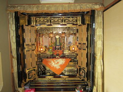 IMG_6287.jpg
