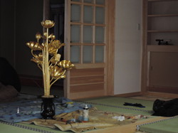 DSCN1091.jpg