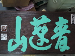 DSCN1249.jpg