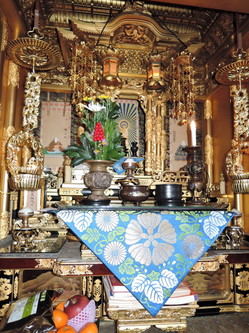 DSCN1259.jpg
