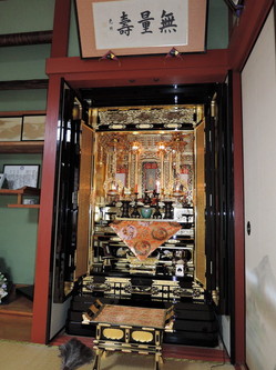 DSCN1401.jpg