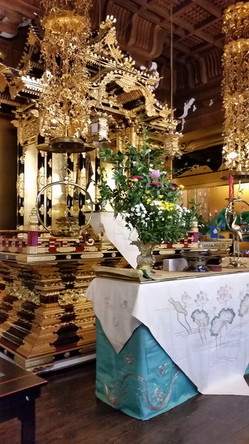 20150826_141019.jpg