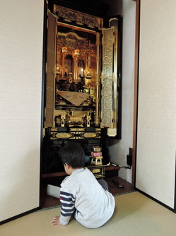 DSCN2312.jpg