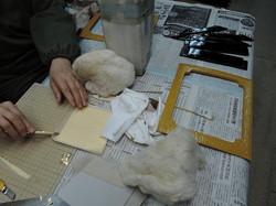 DSCN2631.jpg