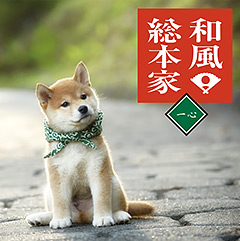 http://www.saisyou.jp/blog/jacket.jpg
